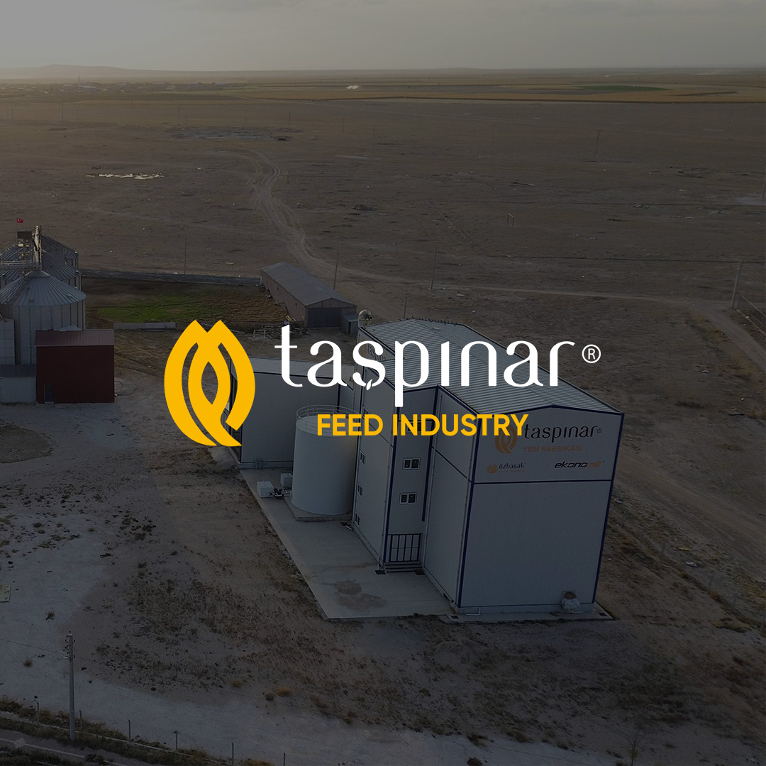 Taşpınar Yem